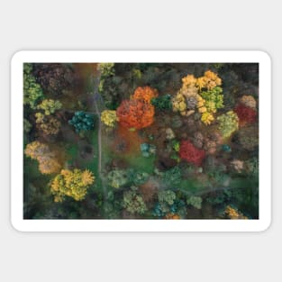 Fall colours from above 2 Sticker
